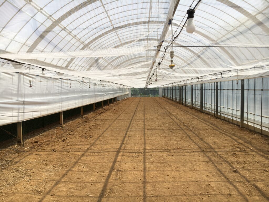 遮熱資材を張り終えた温室