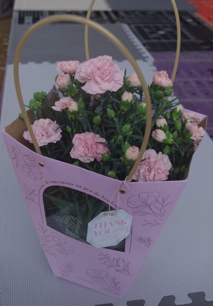 ポットカーネーション「フレンチピンク」手提げバック入り