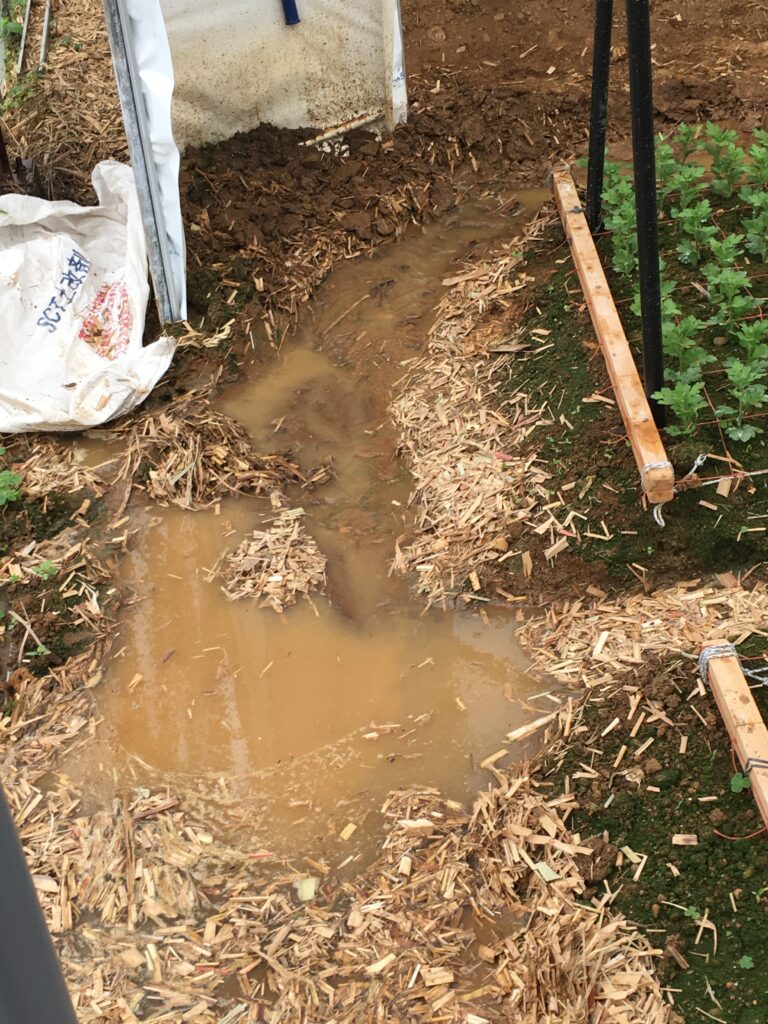 溝を切って、温室内の浸水箇所から水を逃がすことに